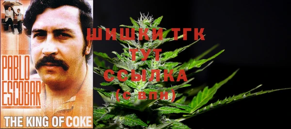 соль курить ск Вяземский
