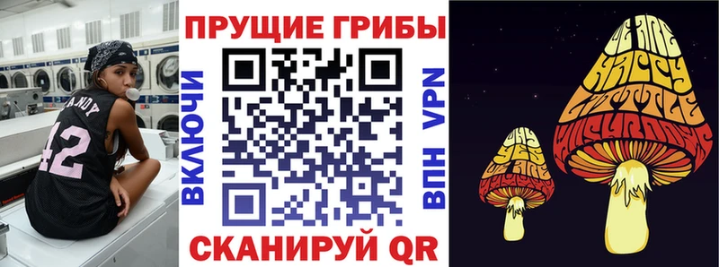 Купить где  Пучеж  Псилоцибиновые грибы MAGIC MUSHROOMS 